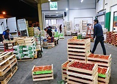 L’écosystème économique de l’alimentation dans Rennes Métropole et en Ille-et-Vilaine