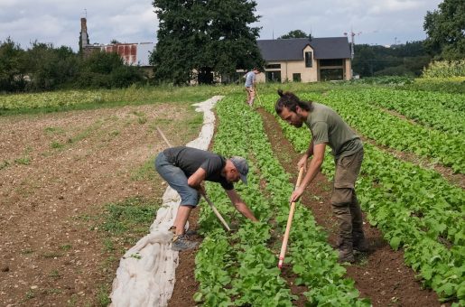 Tableau de bord Agriculture et Alimentation durables de Rennes Métropole