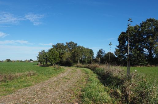 Présentation des travaux de l’Audiar à la plénière du Conseil Métropolitain de la Biodiversité et de l’Eau