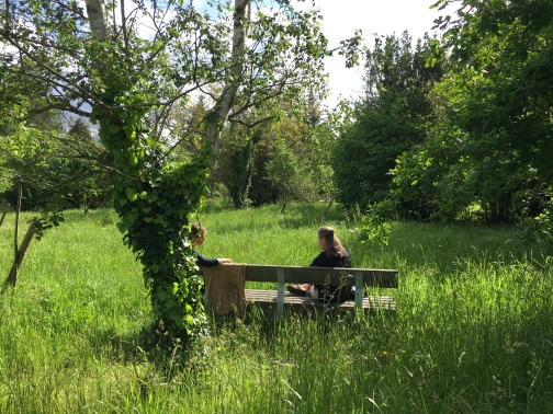 Dans Rennes Métropole, un quart des surfaces arborées se situent en ville