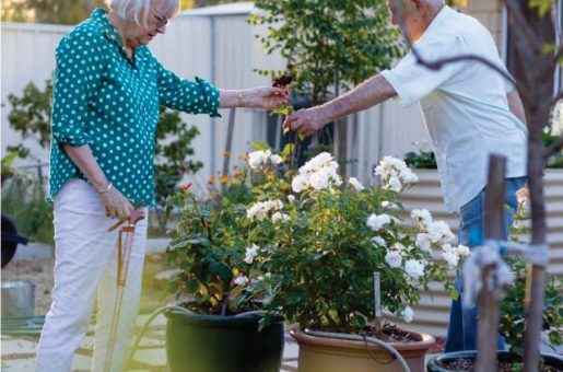 En 2050, Dinan Agglomération pourrait compter près de 40 000 habitants de plus de 65 ans